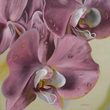 Схема вышивки «орх»