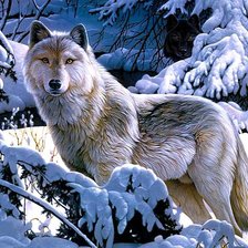 Схема вышивки «Волк»