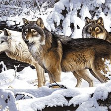 Схема вышивки «Волки»