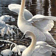 Схема вышивки «Лебеди»