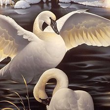 Схема вышивки «Лебеди»