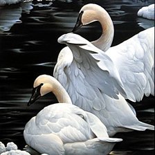 Схема вышивки «Лебеди»