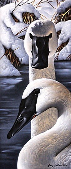 Лебеди - птицы, лебеди - оригинал