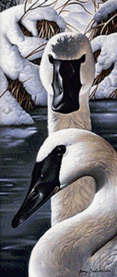 Лебеди - птицы, лебеди - предпросмотр