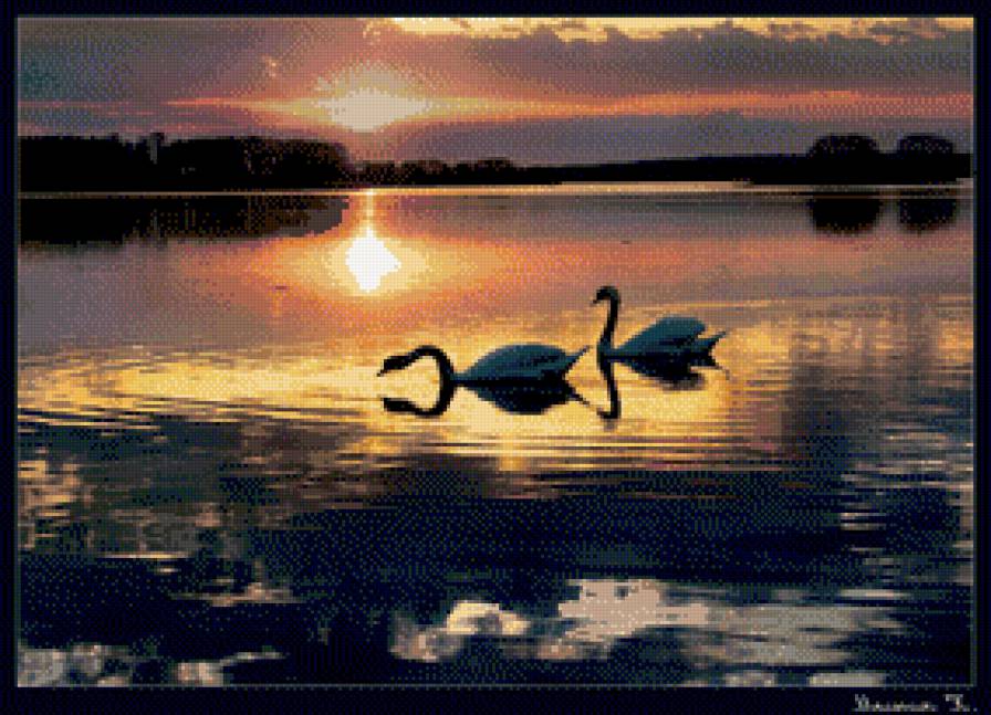 закат - лебеди, вода, закат - предпросмотр