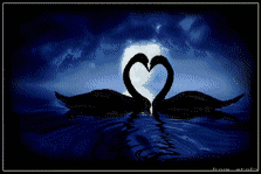 лебеди - вода, лебеди, ночь, луна - предпросмотр