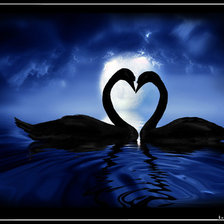 Схема вышивки «лебеди»