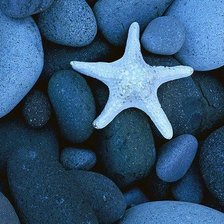 Схема вышивки «Звезда»