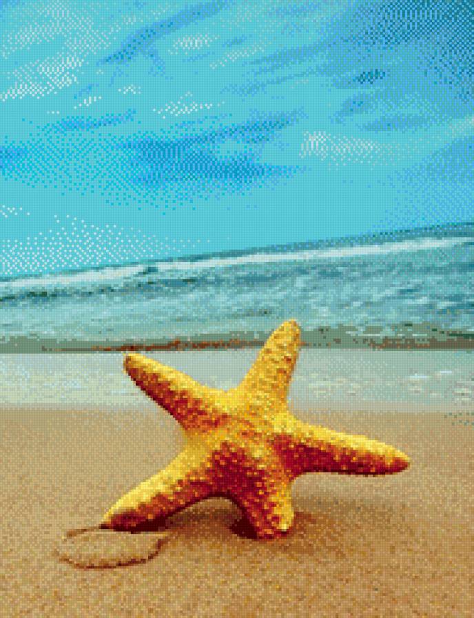 Звезда - море - предпросмотр