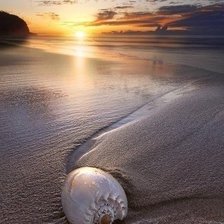 Схема вышивки «Отражение»