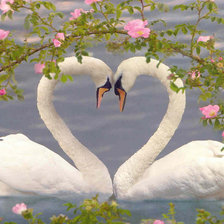 Схема вышивки «лебединая свадьба»