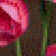 Предпросмотр схемы вышивки «Цветы» (№579263)