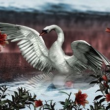 Схема вышивки «лебедь»