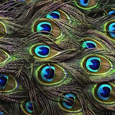 Схема вышивки «То что скрыто»