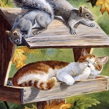 Схема вышивки «кошки мышки»