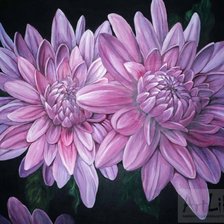 Схема вышивки «хризантемы»