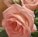 Схема вышивки «триптих розы 2»