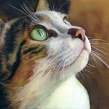 Схема вышивки «Кошка.Алекс Картер»