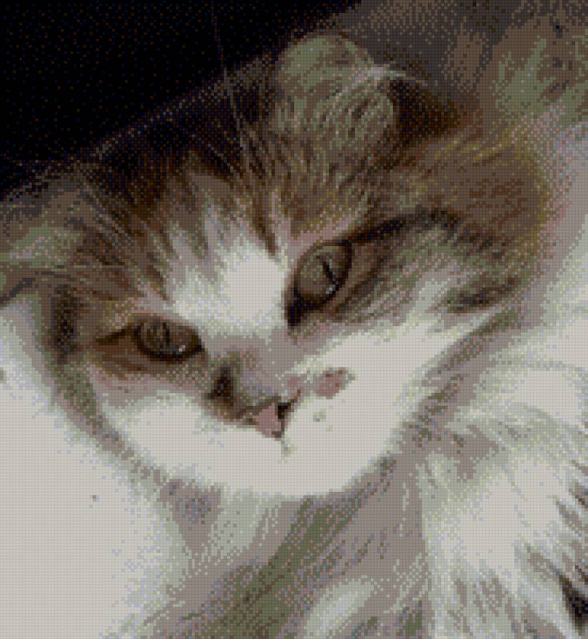 к3 - предпросмотр