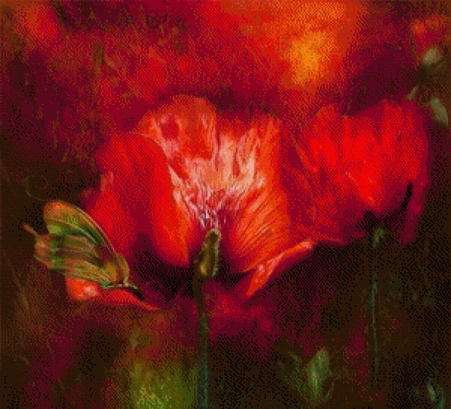 Маки. КЭРОЛ КАВАЛАРИС - маки, кэрол каваралис, цветы - предпросмотр