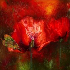 Схема вышивки «Маки. КЭРОЛ КАВАЛАРИС»