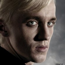 Схема вышивки «Малфой»