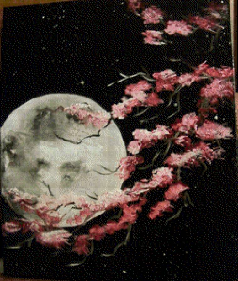 Simona Vizitiu-Ksiezyc - ksiezyc, kwiaty, noc - предпросмотр