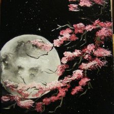 Simona Vizitiu-Ksiezyc