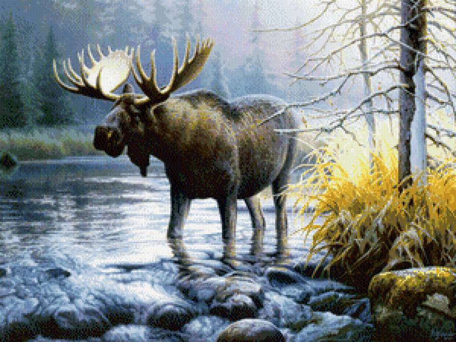 лось - предпросмотр