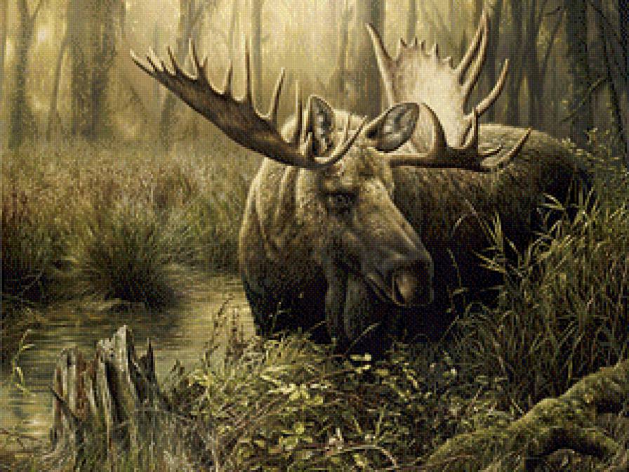 Лось - предпросмотр
