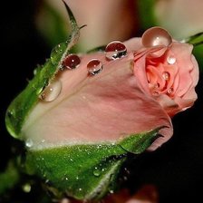 Схема вышивки «бутон розы»