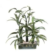 Схема вышивки «бонсай бамбук»