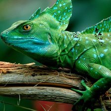 Схема вышивки «ящер»