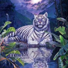 Схема вышивки «тигр»