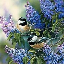 Схема вышивки «№579925»