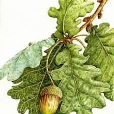 Схема вышивки «№579949»