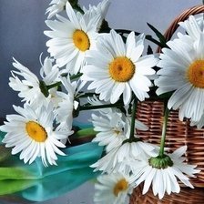 Схема вышивки «ромашки»