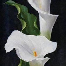 Схема вышивки «КАЛЛЫ»