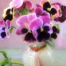 Схема вышивки «Анютины глазки»