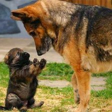 Схема вышивки «Воспитатель»