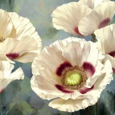 Схема вышивки «маки»