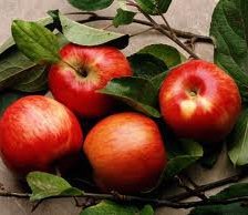 Схема вышивки «яблочки»