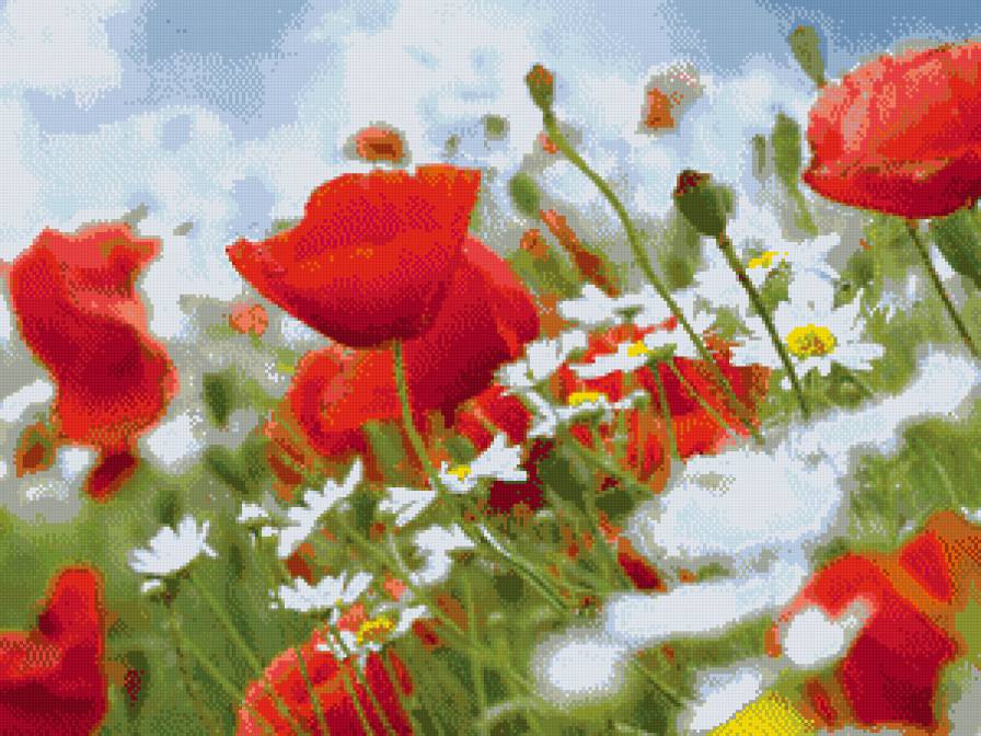 маки на ветру - предпросмотр