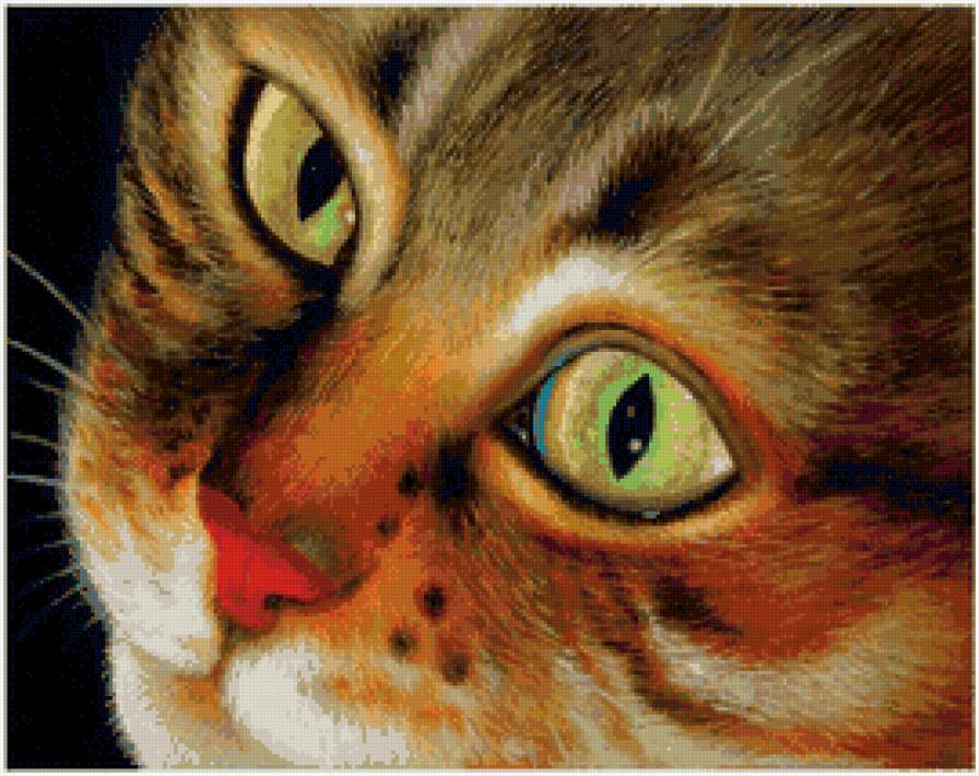 Зеленоглазый красавец - кот, любимец, животные, друг, котенок - предпросмотр