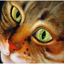 Схема вышивки «Зеленоглазый красавец»