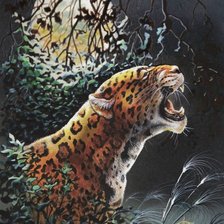 Схема вышивки «лунная ночь»