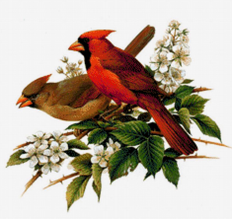 Птицы на ветке - предпросмотр