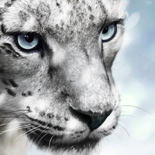 Схема вышивки «снежный барс»