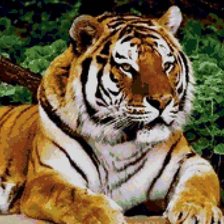 Схема вышивки «Тигр»