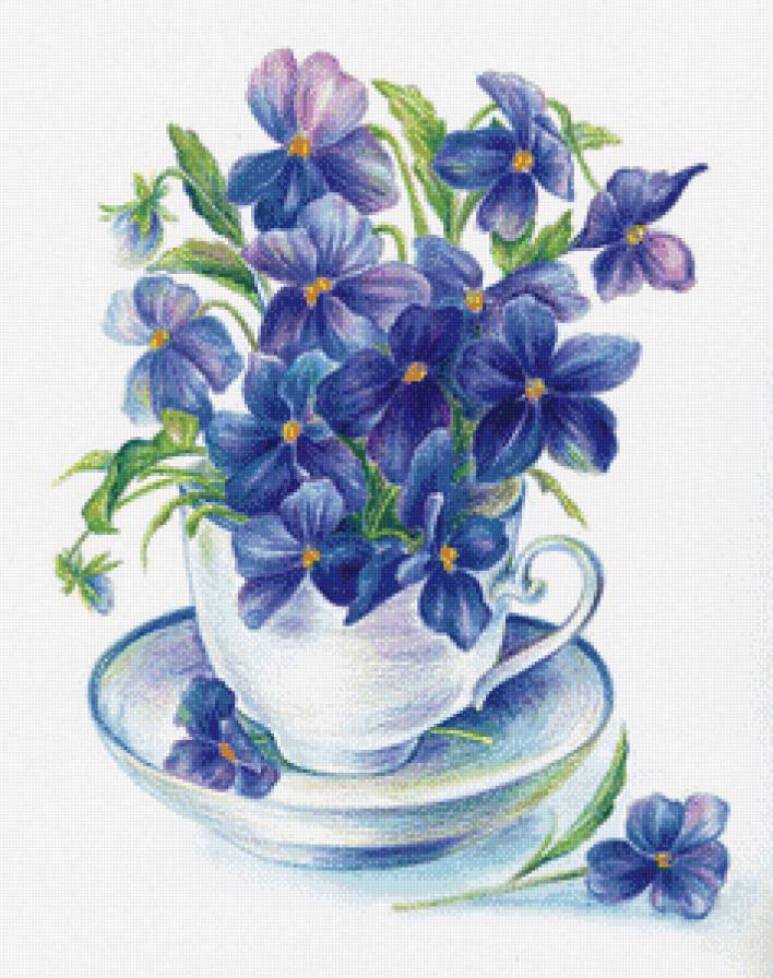 нежный букетик - фиалка, лиловые цветы, чашка, фиалки, букет - предпросмотр